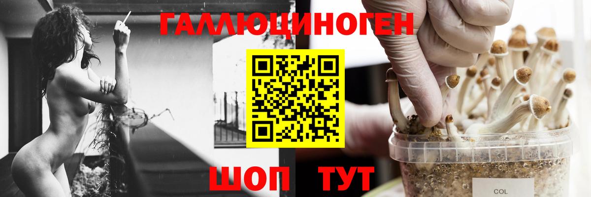 Псилоцибиновые грибы Magic Shrooms Беслан