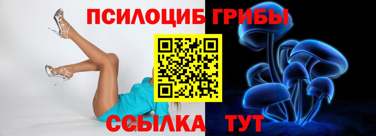 Беслан  Галлюциногенные грибы прущие грибы  Вход с VPN 